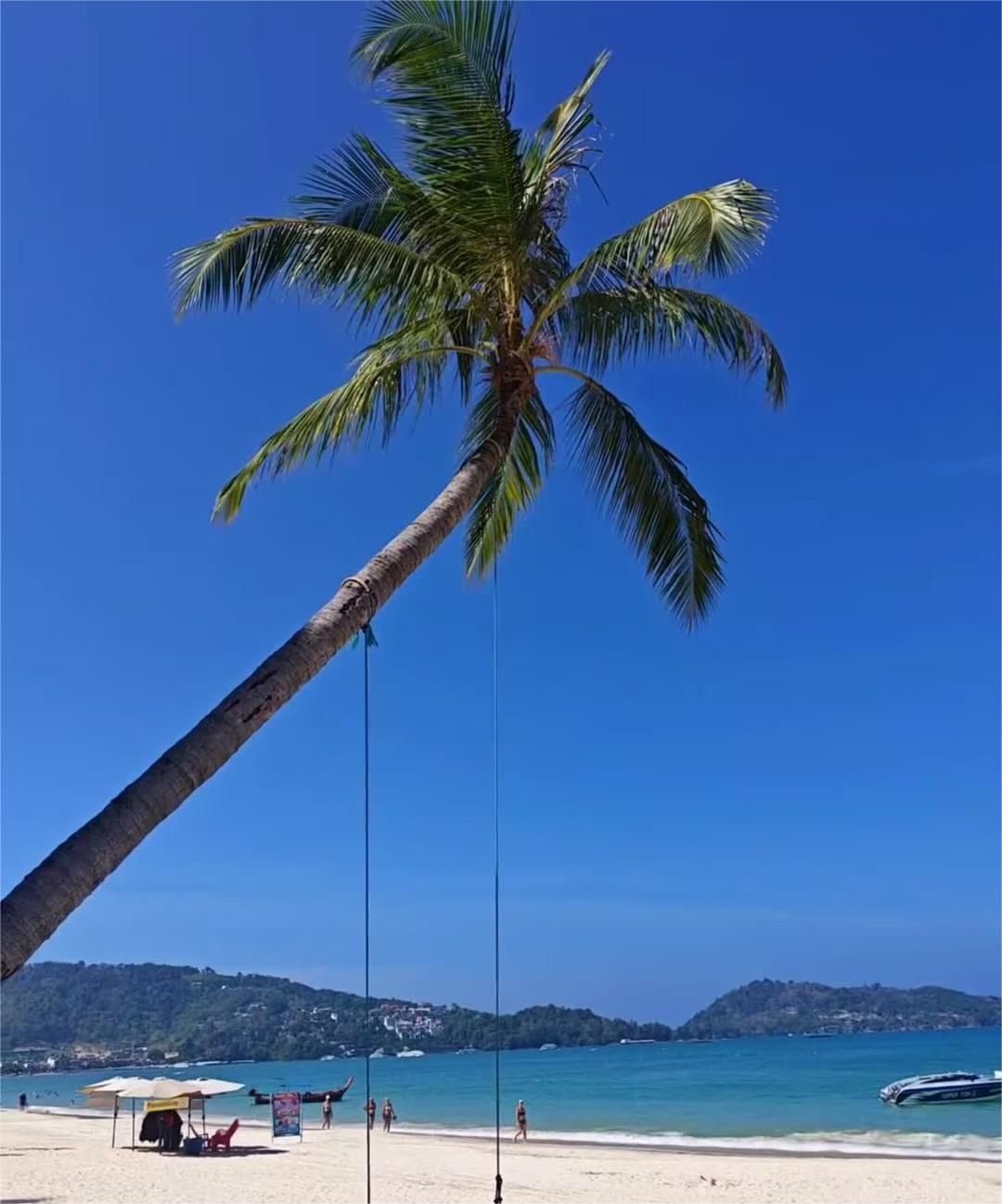 b2fa8db5022101f33ddaceae01aa5590