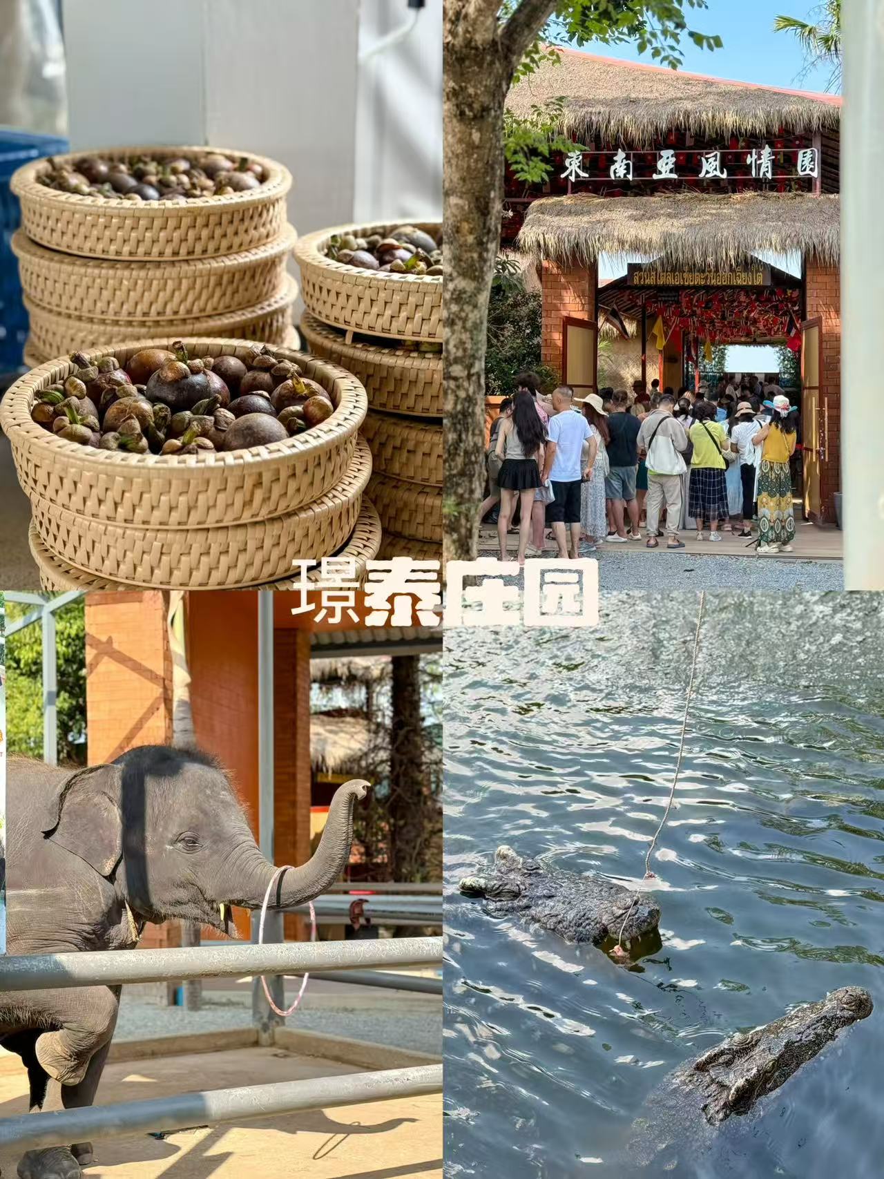 a95e4a92ec6551f0f5a79b16d3fdfeed